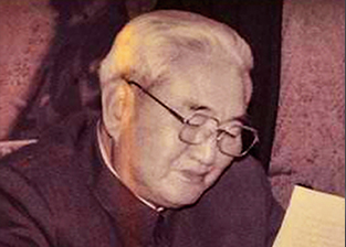 陈野苹